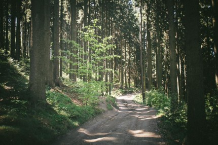 majówka 2012 0050_MG_9540