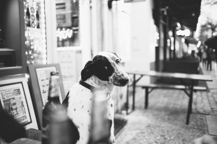 TripToBerlin  033